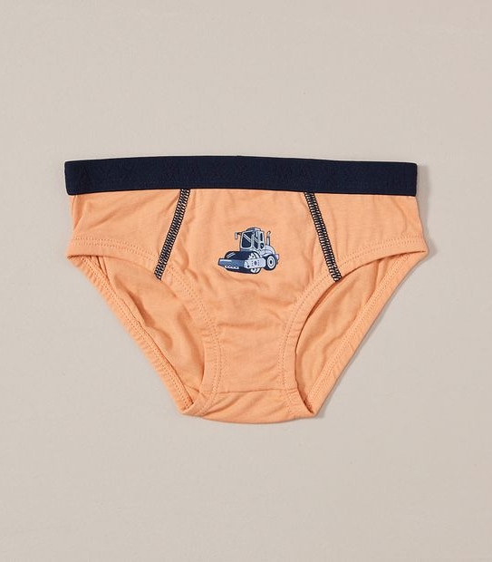 7 Pack Maxx Briefs