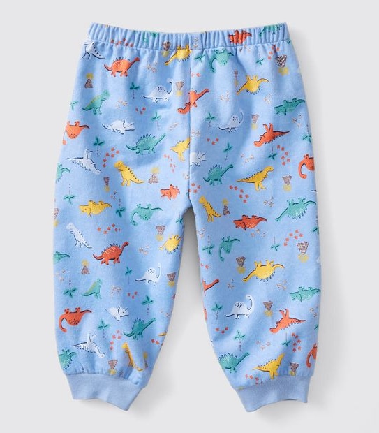 Baby Dinosaur Flannelette Pyjama Set - Blue