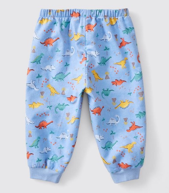 Baby Dinosaur Flannelette Pyjama Set - Blue