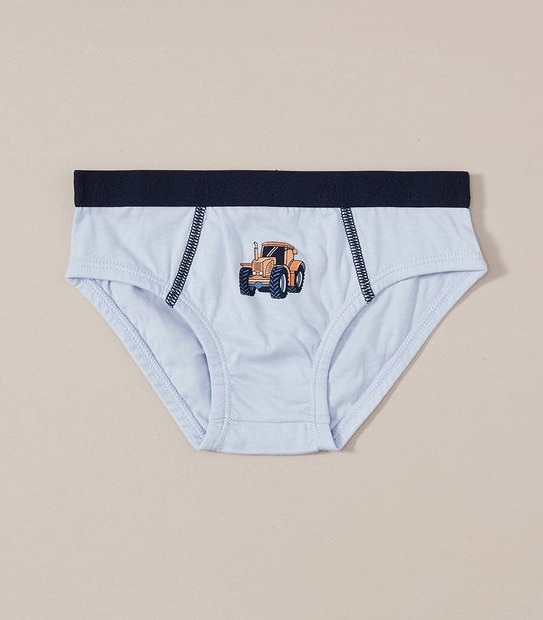 7 Pack Maxx Briefs