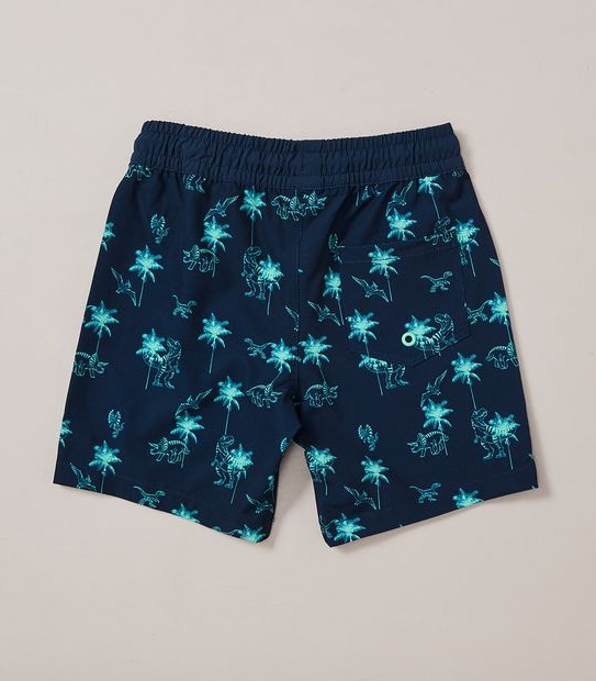 Swim Boardshorts