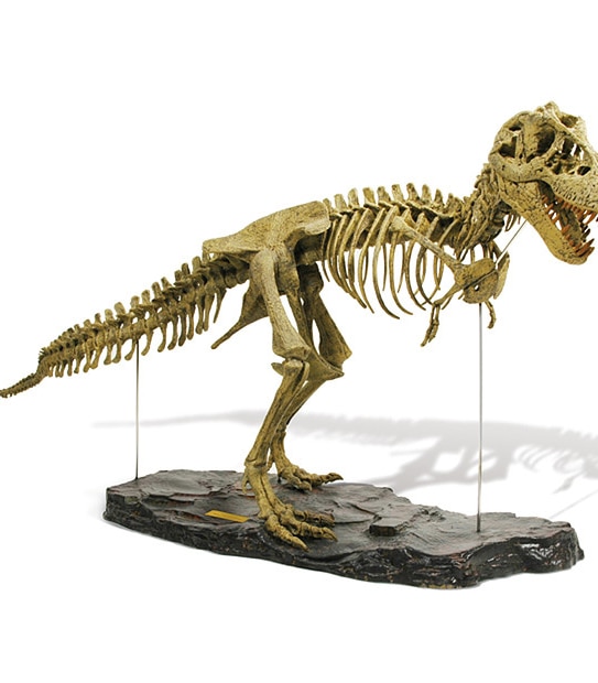 Geoworld T-Rex Skeleton Deluxe