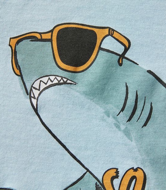 Organic Cotton Print T-shirt