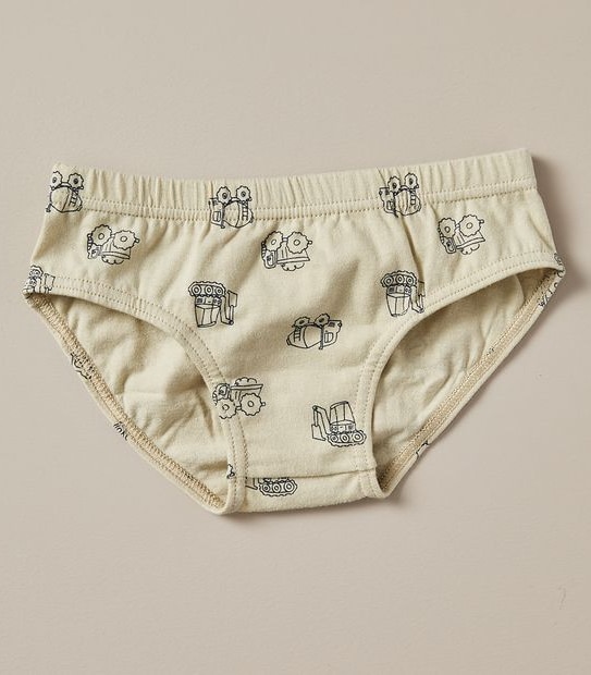 5 Pack Organic Cotton Briefs