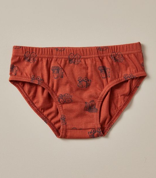 5 Pack Organic Cotton Briefs
