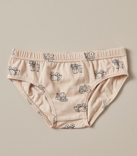 5 Pack Organic Cotton Briefs