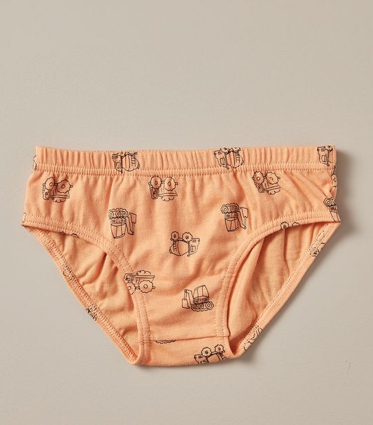 5 Pack Organic Cotton Briefs