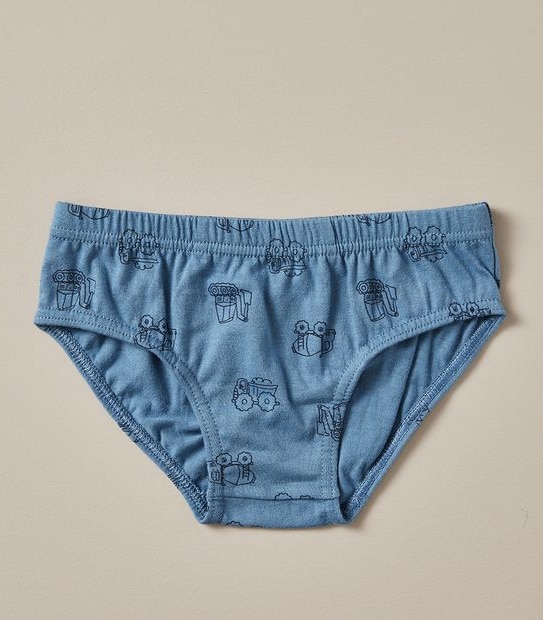 5 Pack Organic Cotton Briefs