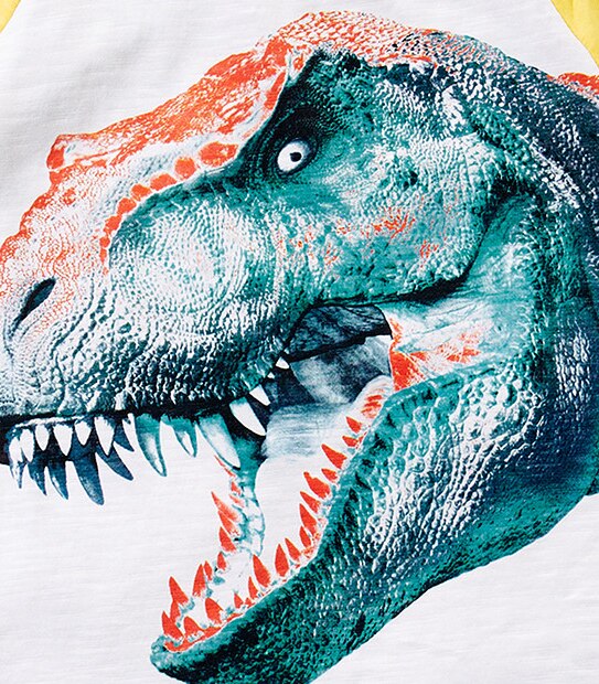 Boys' Short Sleeve Dinosaur Print T-Shirt