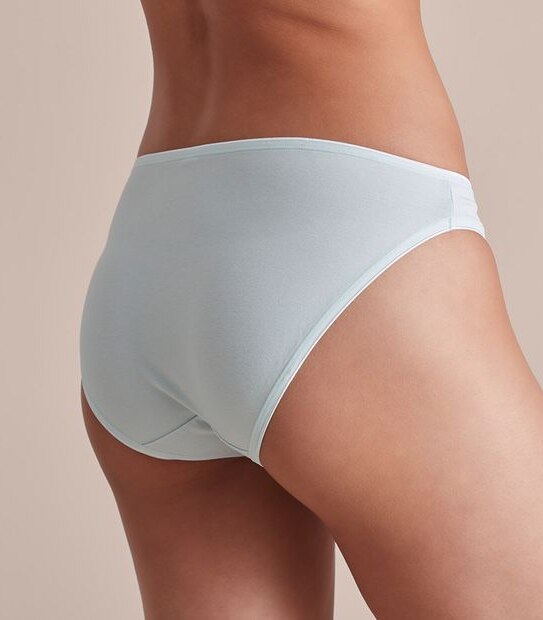 2 Pack Aloe Bikini Briefs; Style: LBK83594