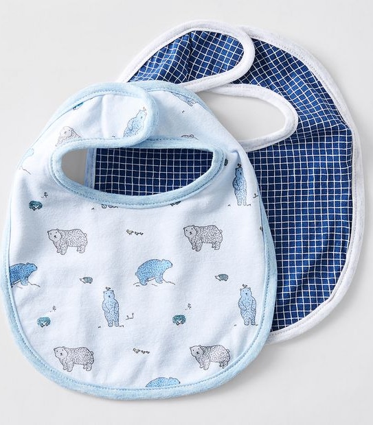 2 Pack Fashion Bibs