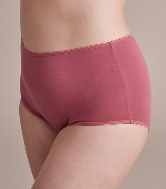 Fuller Figure 2 Pack Everyday Cotton Full Briefs; Style: LFB30307