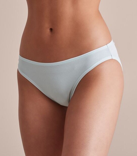 2 Pack Aloe Bikini Briefs; Style: LBK83594