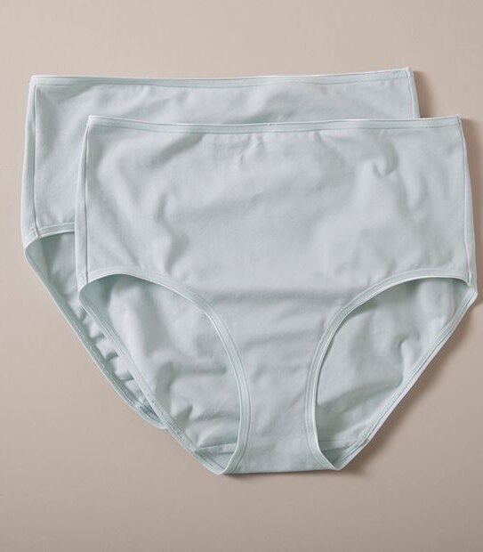 2 Pack Cotton Full Briefs; Style LFB30307 Target Australia