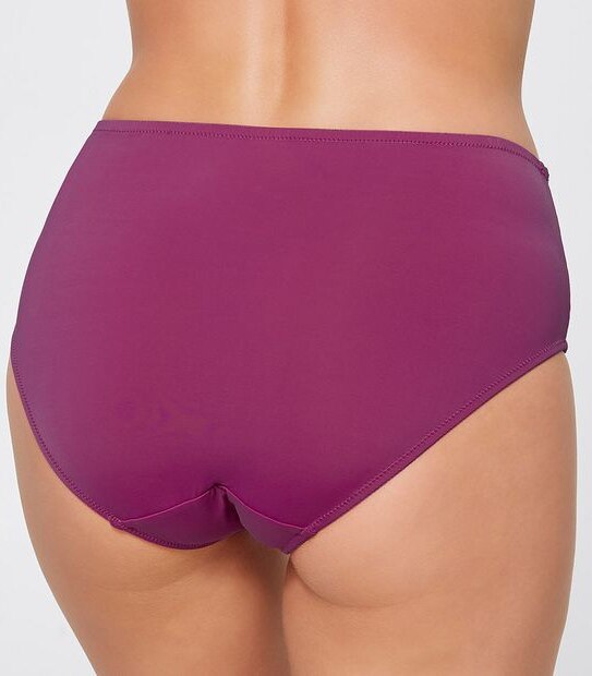 Eyelash Lace High-Cut Briefs