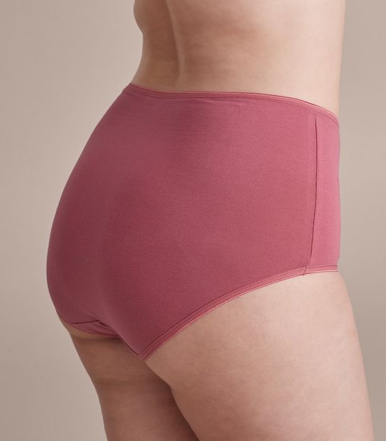 Fuller Figure 2 Pack Everyday Cotton Full Briefs; Style: LFB30307
