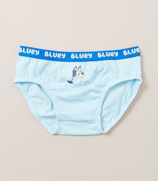 5 Pack Bluey Briefs