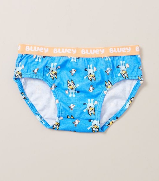 5 Pack Bluey Briefs