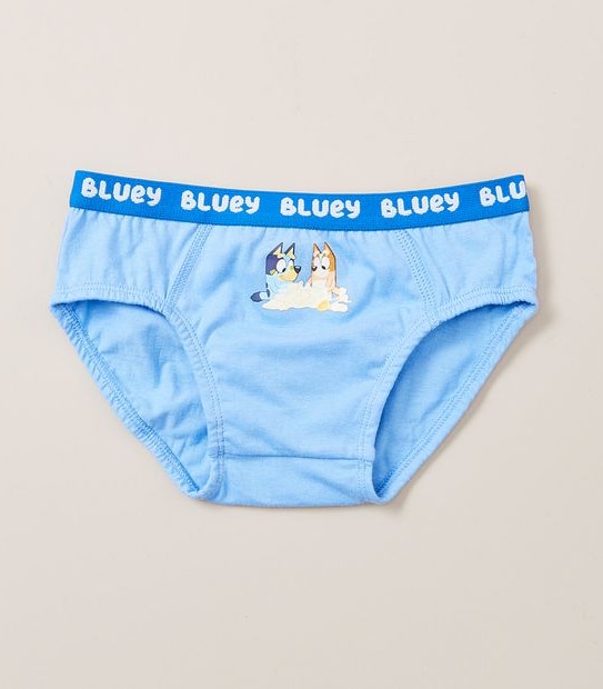 5 Pack Bluey Briefs