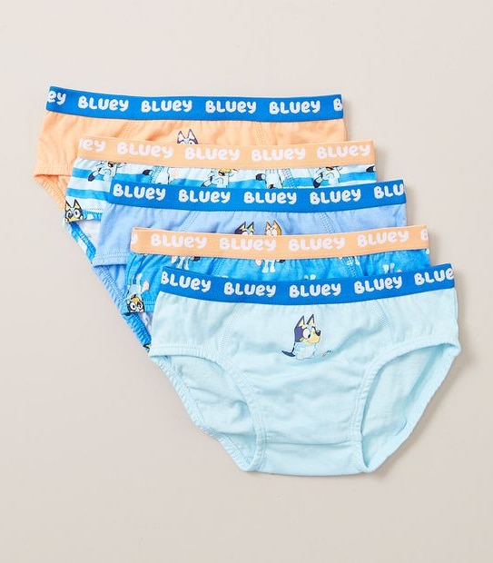 5 Pack Bluey Briefs