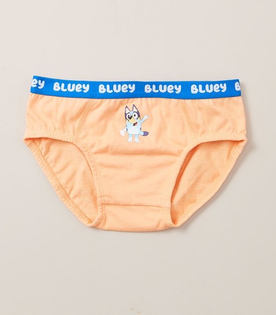 5 Pack Bluey Briefs