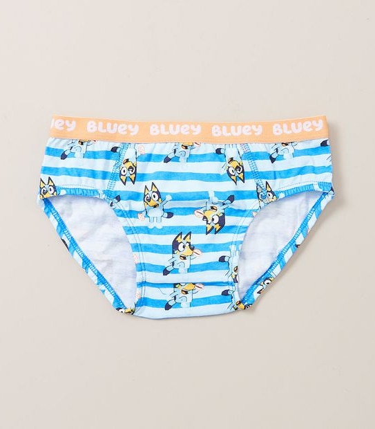 5 Pack Bluey Briefs