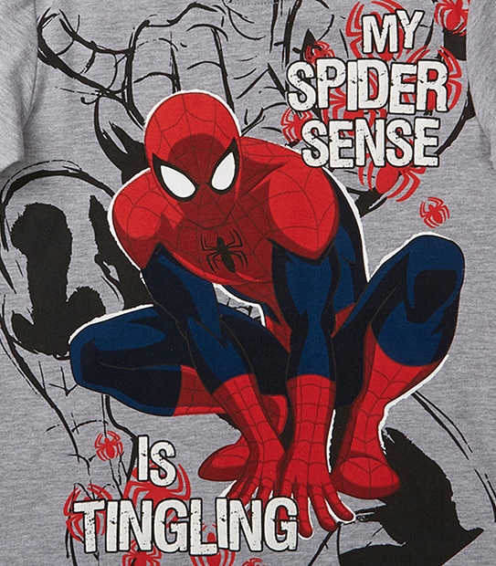 Boys' Spider-Man Short Sleeve T-Shirt