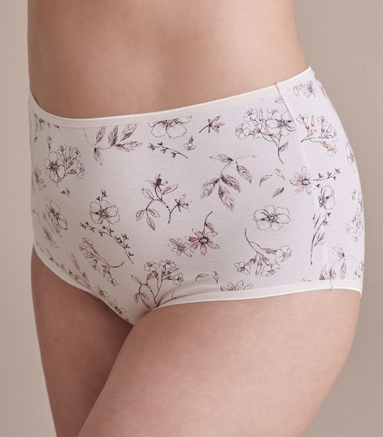 Fuller Figure 2 Pack Everyday Cotton Full Briefs; Style: LFB30307