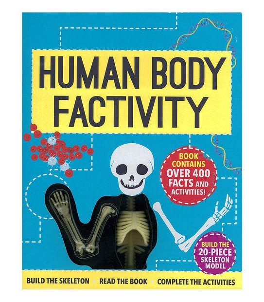 Human Body Factivity - Anna Claybourne