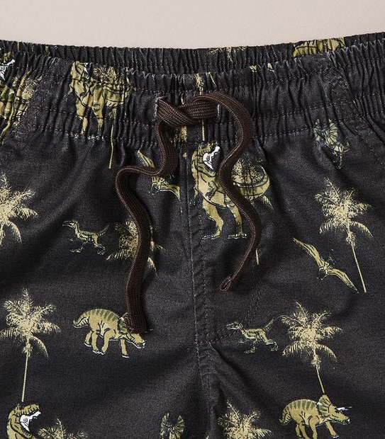 Print Volley Shorts 3 of 5