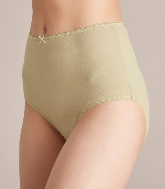 C LFB183554 5PK C/L FULL BRIEF DANI