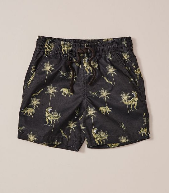 Print Volley Shorts