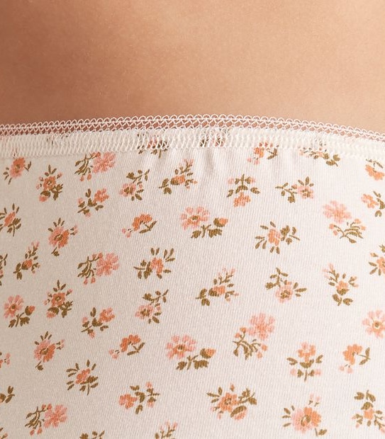 C LFB183554 5PK C/L FULL BRIEF DANI