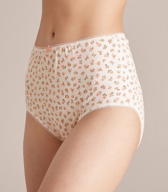 C LFB183554 5PK C/L FULL BRIEF DANI