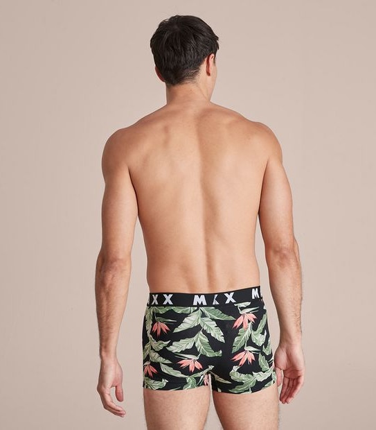 Maxx 3 Pack Hipster Trunks
