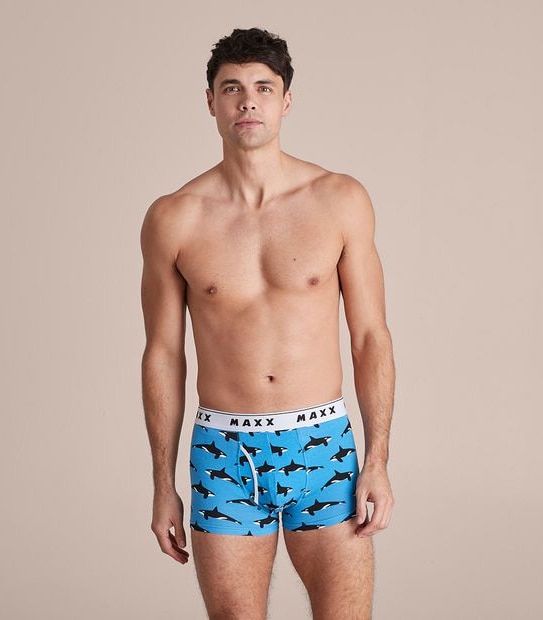Maxx Flyfront Trunks