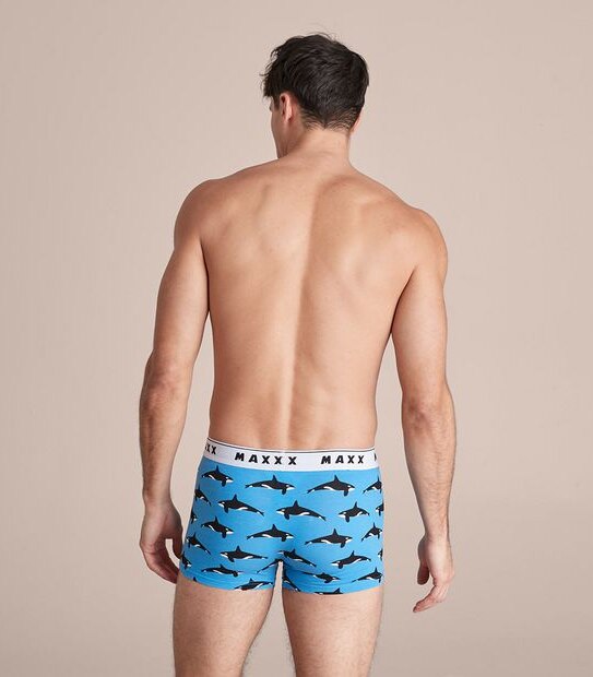 Maxx Flyfront Trunks