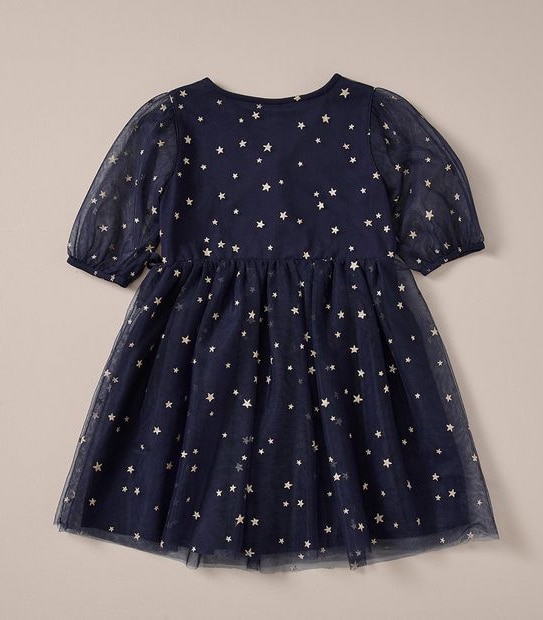 Tulle Wrap Dress