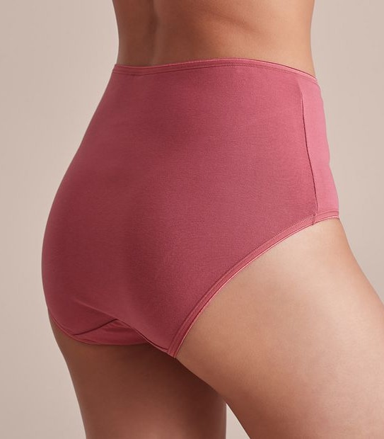Fuller Figure 2 Pack Everyday Cotton Full Briefs; Style: LFB30307