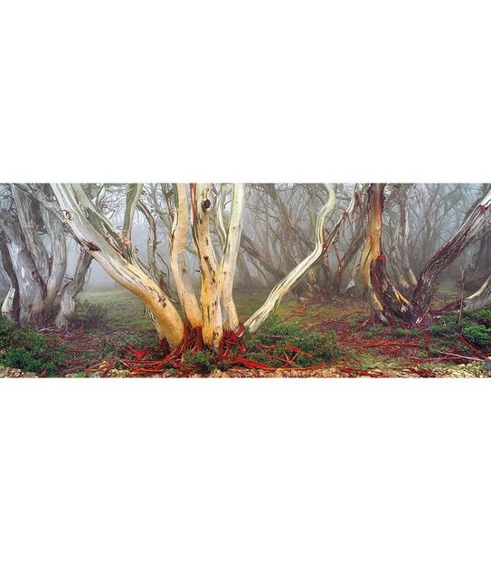 The World’s Most Beautiful Ken Duncan 748 Piece Jigsaw Puzzle - Assorted*