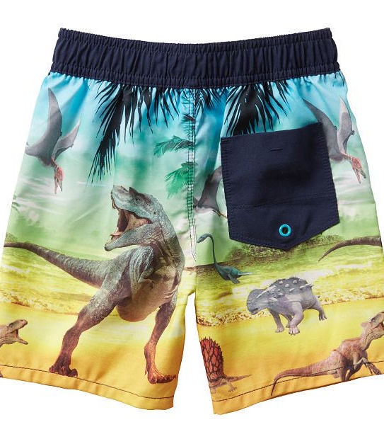 Dinosaur Print Boardshorts 2 of 3