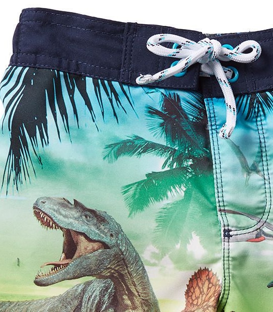 Dinosaur Print Boardshorts 3 of 3