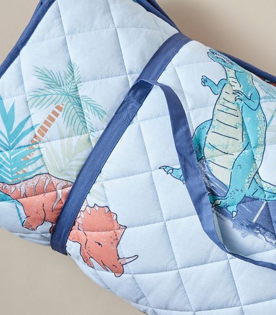 Dinosaur Sleeping Bag Set