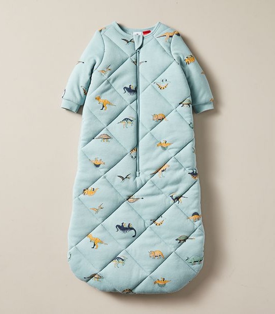 Baby Dinosaur Sleeping Bag
