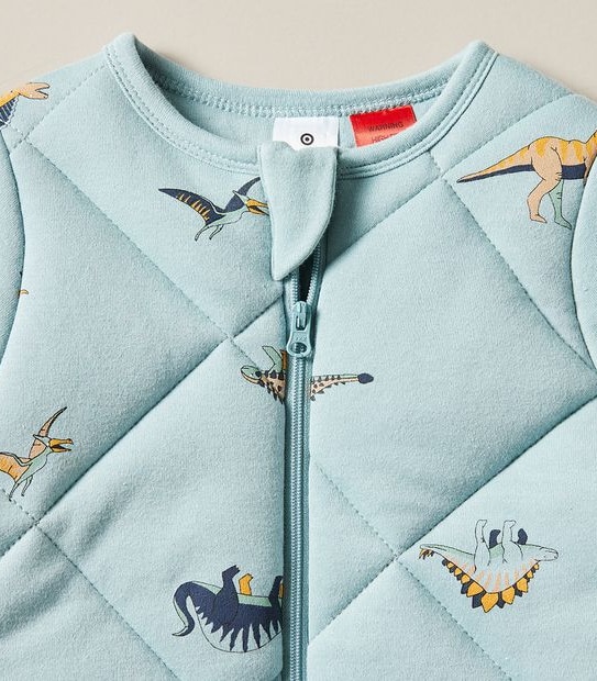 Baby Dinosaur Sleeping Bag
