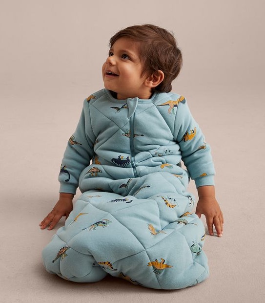 Baby Dinosaur Sleeping Bag