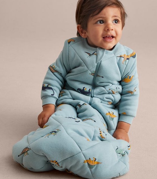 Baby Dinosaur Sleeping Bag