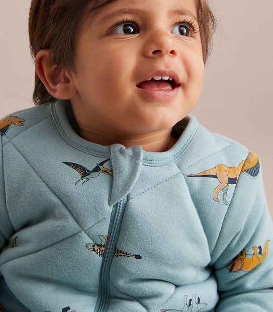 Baby Dinosaur Sleeping Bag