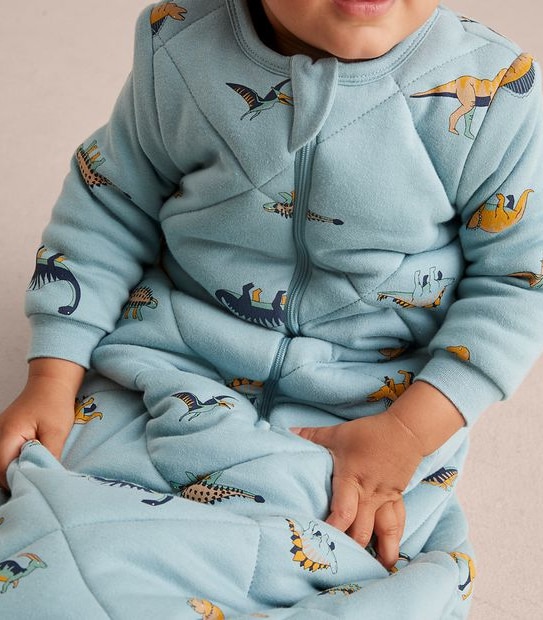 Baby Dinosaur Sleeping Bag