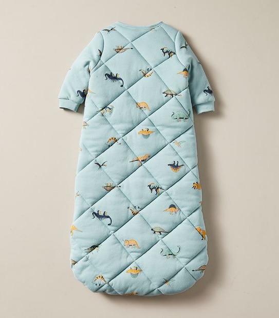 Baby Dinosaur Sleeping Bag